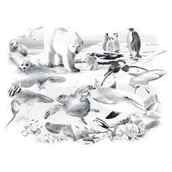 THE AQUARIUM 15070SA2.gif